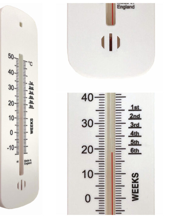 Brooder Thermometer