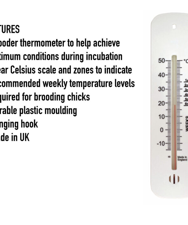 Brooder Thermometer