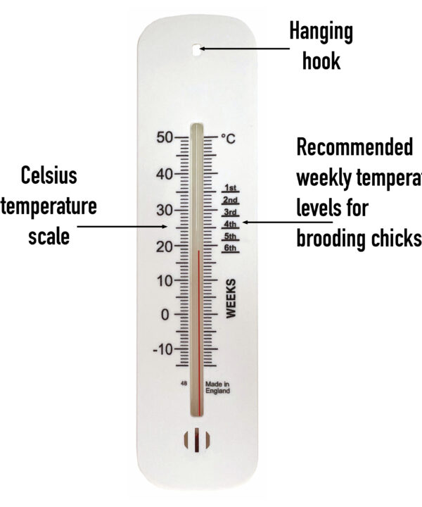 Brooder Thermometer