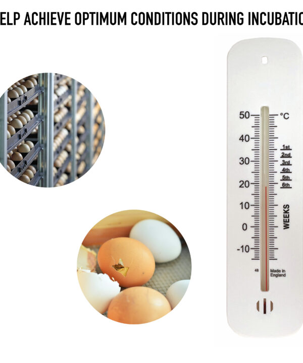 Brooder Thermometer