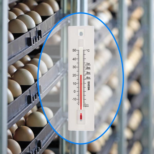 Brooder Thermometer Location