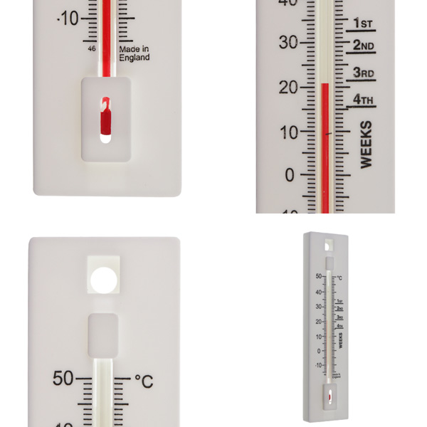 Brooder Thermometer Views