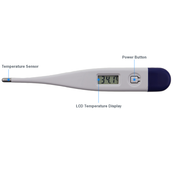 Clinical Thermometer Product Details