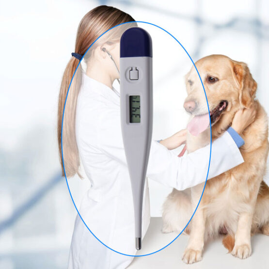 Veterinary Rapid Response Thermometer For Pets & Animals