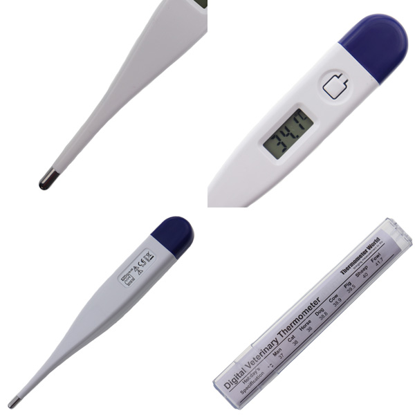 Clinical Thermometer Product Views