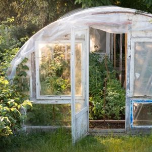 greenhouses for beginners