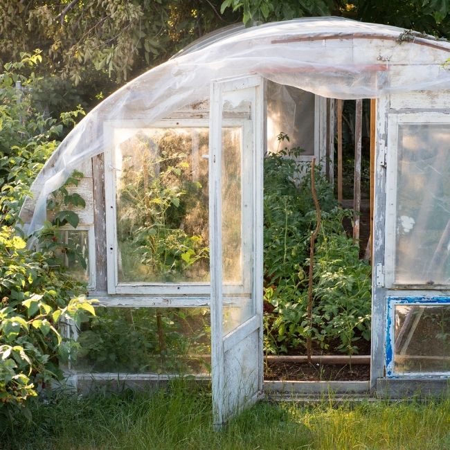 Beginners Greenhouse Vegetable Growing, Greenhouse Vegetable Gardening For Beginners